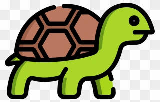 Turtle1 Clipart