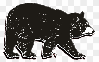 American Black Bear Clipart