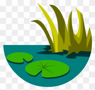 Freshwater Biome Clipart - Png Download