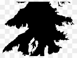 Drawn Pine Tree Silhouette Tall Pine Tree Graphic- - Silhouette Pine Tree Drawing Clipart