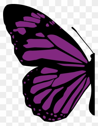 Half Of Butterfly Png Clipart