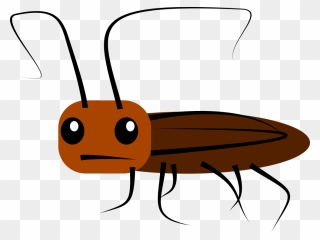 Transparent Cockroach Png Clipart