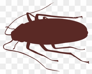 Cockroach Insect Silhouette - Cockroach Silhouette Png Clipart