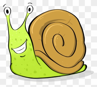 Washington State Invertebrate Mollusk Clipart