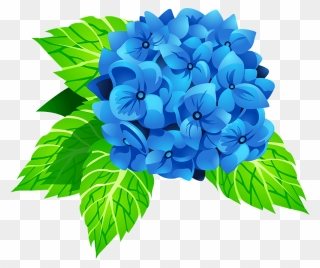 Hydrangea Flower Clipart - 6 月 花 イラスト 無料 - Png Download