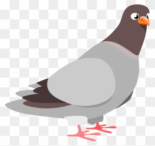 Piegeon Clipart Graphic Free Stock Free Pigeon Cliparts, - Pigeon Clipart - Png Download