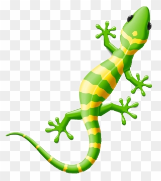 Gecko Clipart Lizzard, Gecko Lizzard Transparent Free - Gecko Clipart - Png Download