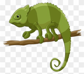 Chameleons Lizard Reptile Cartoon - Chameleon Clipart - Png Download
