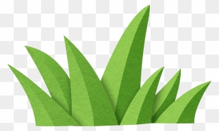 Transparent Jungle Plant Clipart - Jungle Plant Cartoon - Png Download