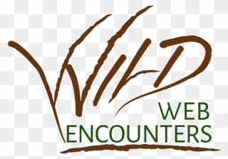 Wild Web Encounters Logo - Church Of England Clipart