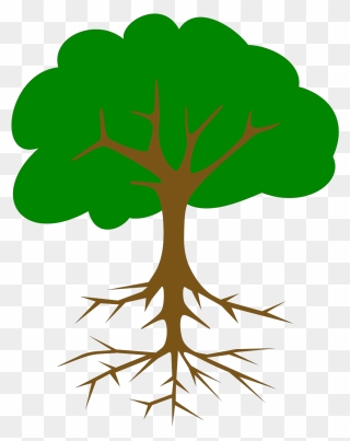 Tree Clipart With Roots - Png Download