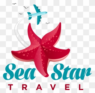 Transparent Sea Star Png Clipart