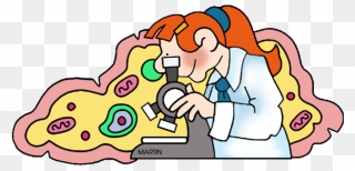 Lesson Writing Cell Organelle Analogies - Science Phillip Martin Clipart - Png Download