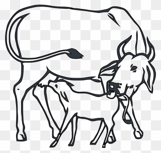 Drawing The Cow With Calf Clipart