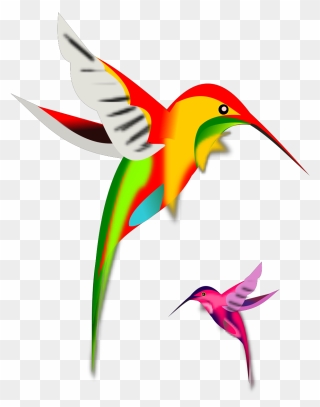 Flower And Humming Bird Clip Art - Png Download