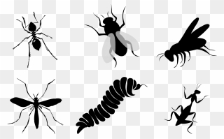 Flies Clipart Insect Wing - Vector Praying Mantis Silhouette - Png Download