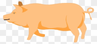A Pig Svg Clip Arts - Transparent Orange Pig - Png Download