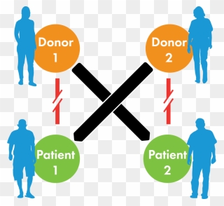 Kidney Paired Donation Graphic Unos Clipart