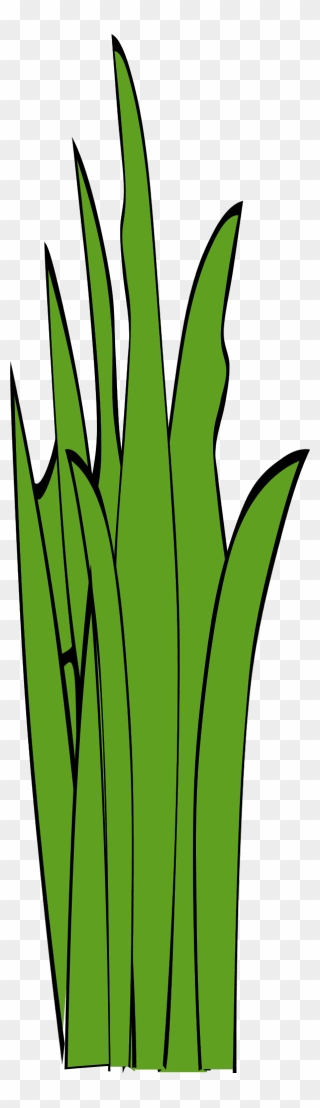 Cat Tails Clipart Clip Freeuse Library 28 Collection - Clipart Long Grass - Png Download