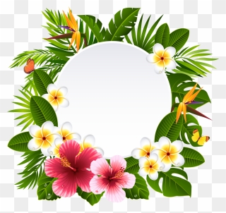 Tropical Frame Cliparts - Clipart Hawaiian Lei - Png Download