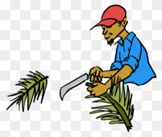 Clip Art - Png Download