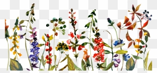 Save The Date Blumensommer-blumen Minimalistic Karte - Transparent Background Wildflower Png Clipart
