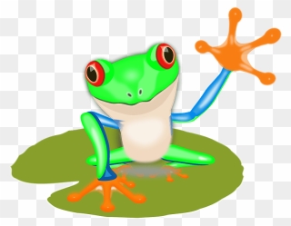 Frog On Leaf Clipart - Costa Rica Frog Clip Art - Png Download