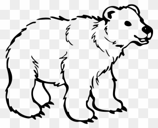 Polar Bear American Black Bear Brown Bear Drawing - Bear Clipart Black And White Outline - Png Download