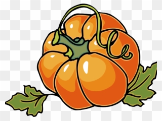 Pumpkin Vine Clipart - Autumn Clip Art - Png Download