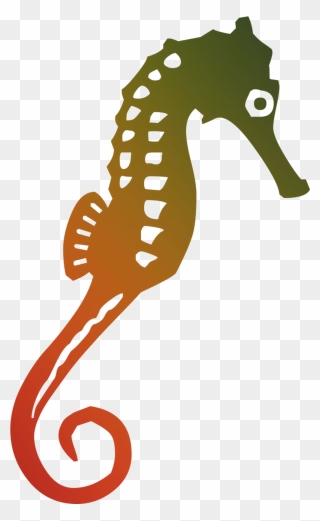 Seahorse Illustration Graphics Free Hq Image Clipart - Seahorse Graphic - Png Download