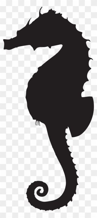Clipart - Silhouette Seahorse Png Transparent Png