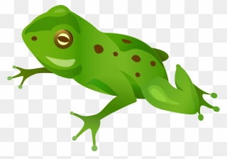 Green Frog Png - Vector Frog Png Clipart
