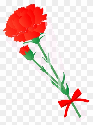Carnation Flower Clipart - Carnation - Png Download