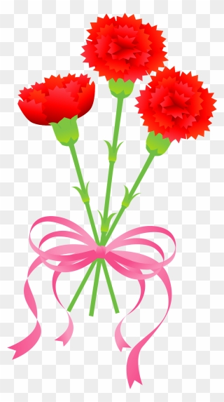 Carnation Flower Clipart - 5 月 の 花 イラスト 無料 - Png Download
