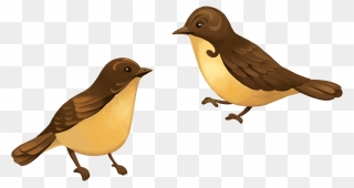 Two Birds Clipart - 2 Birds Clipart - Png Download