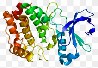 Proteins Molecule Clipart