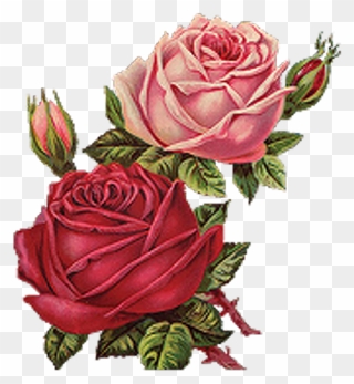 Red Roses Vintage Png Clipart , Png Download - Vintage Roses Png Transparent Png