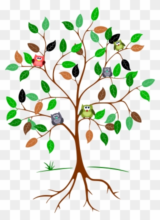 Owls In A Tree Clip Arts - Aesthetic Tree Clipart - Png Download