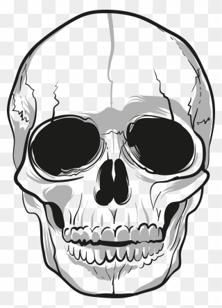 Crazy Skulls Png - Transparent Background Skull Clipart