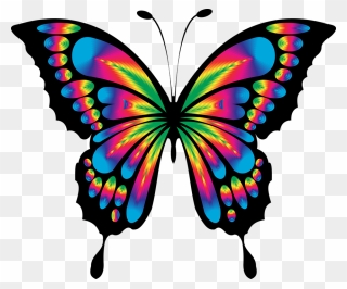 Colorful Butterfly Drawing Clipart