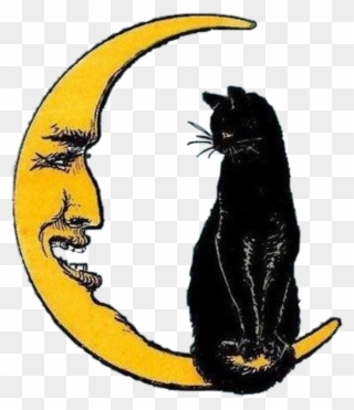 Moon - Grunge Cat Drawing Clipart