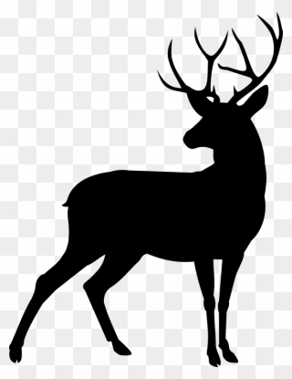 Animal, Deer, Plume - Deer Silhouette Clipart