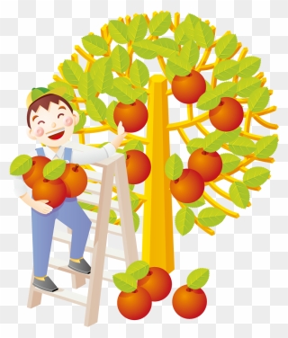 Free Clipart Apple Picking Vector Transparent Download - Clipart Picking Fruit - Png Download