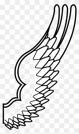 Function Drawing Wing - Hawk Wings Clipart - Png Download