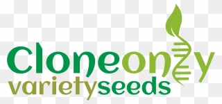 Clone Only Variety Seeds - Graphic Design Clipart