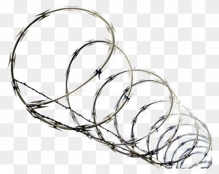 Vector Clipart, Barbed Wire, Google Search, Image, - Razor Wire Png Transparent Png
