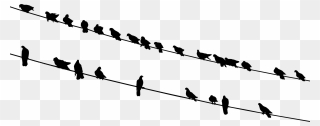 Birds On A Wire Black And White Clipart Graphic Transparent - Silhouette Bird Pictures Black And White - Png Download