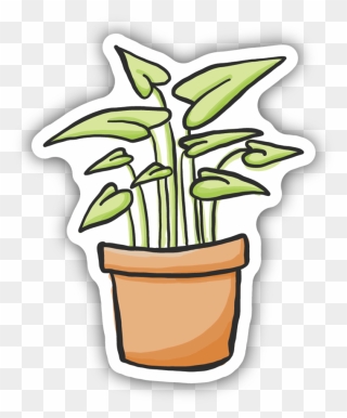 Arrowhead Plant Sticker - Plant Stickers Clipart