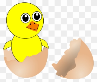 Chick, Hatching, Egg, Shell, Broken, Open, Birthday - Born Clipart - Png Download