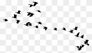 Bird Migration Goose Animal Migration Clip Art - Birds Flying Silhouette Png Transparent Png